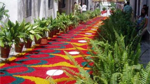 Alfombra de Valenzuela para el D&iacute;a del Corpus