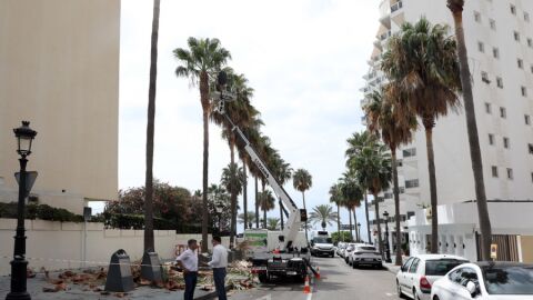 El delegado de Obras, Diego L&oacute;pez, supervisando los trabajos de mantenimiento en la calle Camilo Jos&eacute; Cela