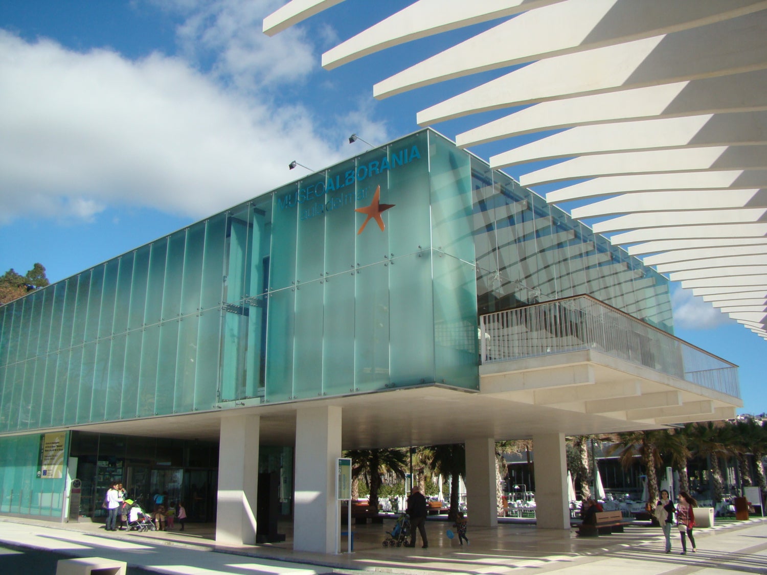Vuelven este verano las medusas a Málaga, pero no tenemos que temerlas Vuelven este verano las medusas a Málaga, pero no tenemos que temerlas