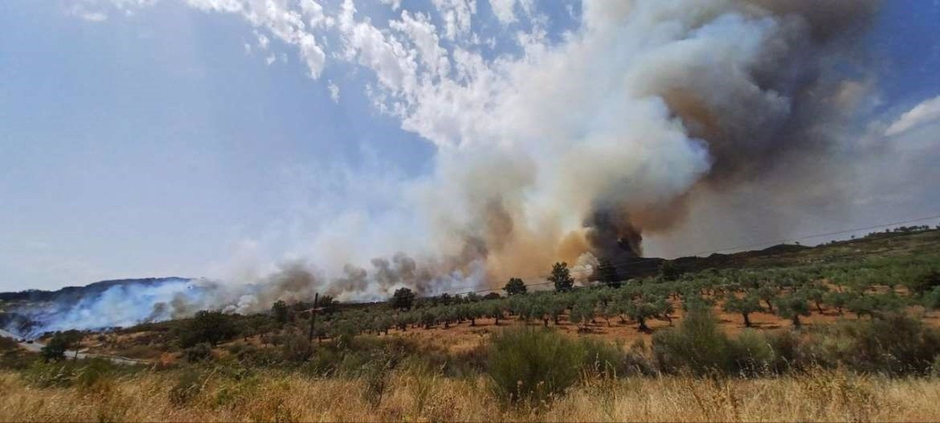El incendio en Sierra de Gata está perimetrado "en buena parte" de la zona y su evolución es favorable El incendio en Sierra de Gata está perimetrado "en buena parte" de la zona y su evolución es favorable