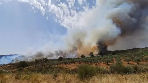 El incendio en Sierra de Gata está perimetrado "en buena parte" de la zona y su evolución es favorable El incendio en Sierra de Gata está perimetrado "en buena parte" de la zona y su evolución es favorable