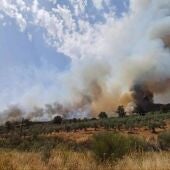 El incendio en Sierra de Gata está perimetrado "en buena parte" de la zona y su evolución es favorable