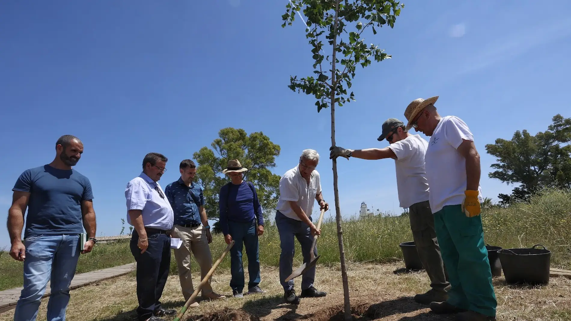 El Ayuntamiento de València plantará el próximo otoño 1.300 nuevos árboles  en la ciudad | Onda Cero Radio