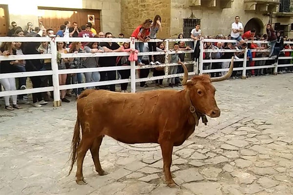 Vuelven las fiestas de los pueblos, pero con dificultades Vuelven las fiestas de los pueblos, pero con dificultades