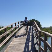 Archivo - Puente en el Parque Natural del Turia, a su paso por Riba-roja.