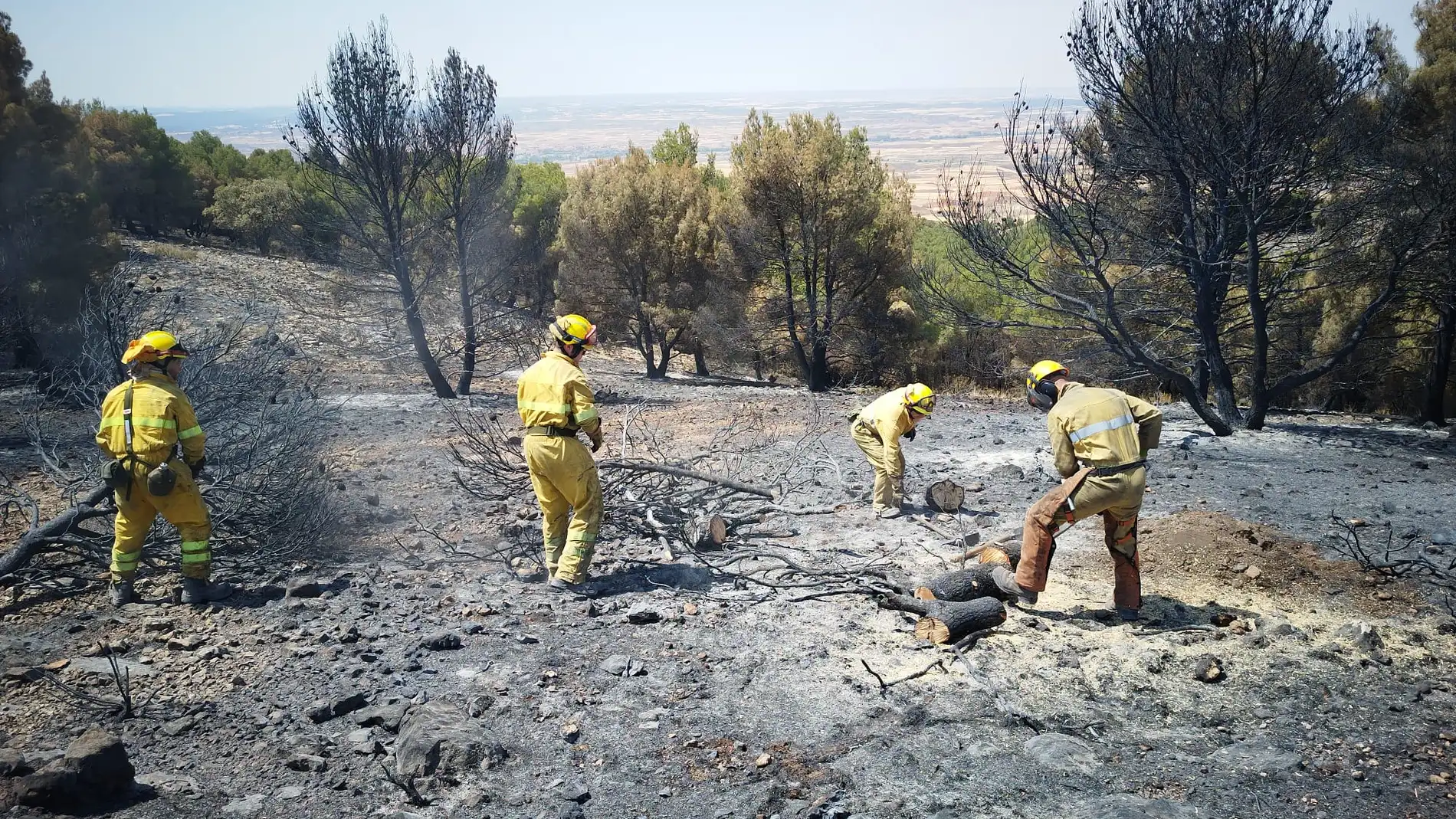 El incendio calcinó 14.000 hectáreas