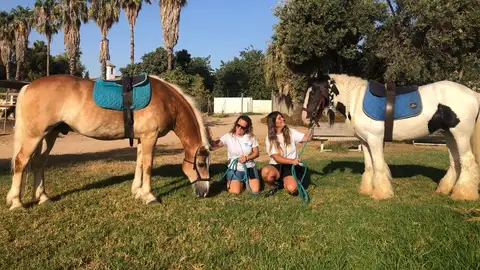 Equinoterapia Equinoterapia