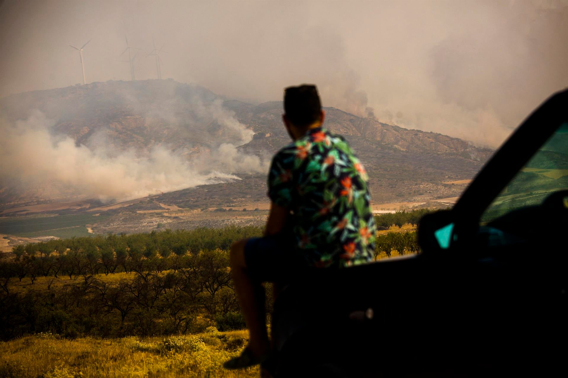 1.300 vecinos evacuados, tres focos activos y 8.000 hectáreas arrasadas en el incendio en el Moncayo 1.300 vecinos evacuados, tres focos activos y 8.000 hectáreas arrasadas en el incendio en el Moncayo