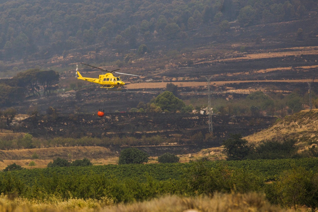 Incendios en España: preocupación en Vall d'Ebo donde se han calcinado ya 9.500 hectáreas Incendios en España: preocupación en Vall d'Ebo donde se han calcinado ya 9.500 hectáreas