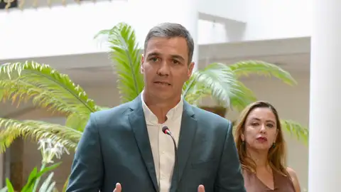 El presidente del Gobierno, Pedro Sánchez. El presidente del Gobierno, Pedro Sánchez.