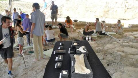 Yacimiento paleontol&oacute;gico de Venta Micena, Orce