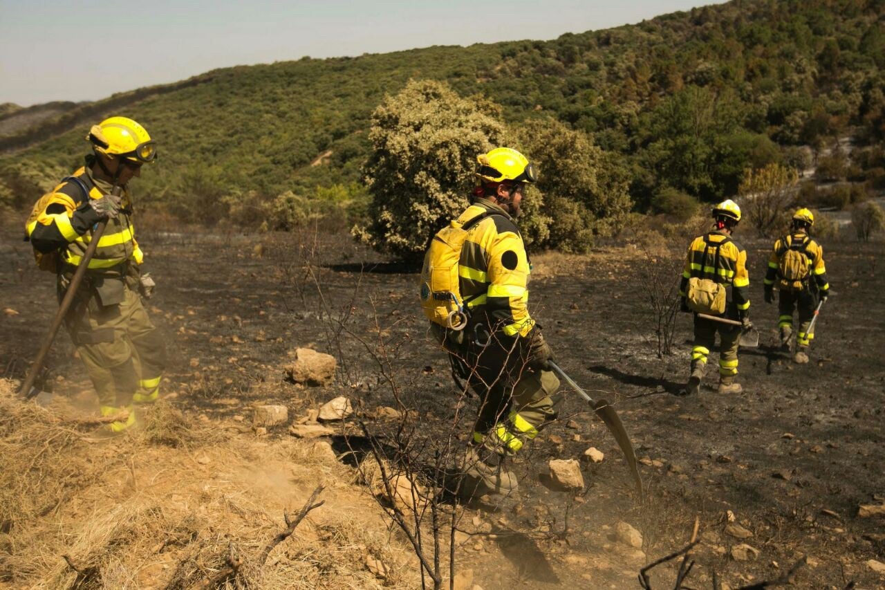El incendio de Añón de Moncayo podría quedar hoy controlado El incendio de Añón de Moncayo podría quedar hoy controlado