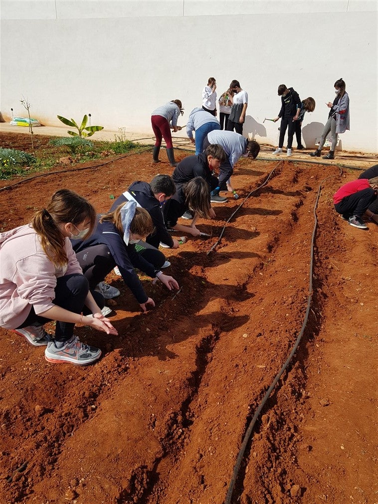 Almassora ha formado a 1.900 estudiantes en agricultura ecológica Almassora ha formado a 1.900 estudiantes en agricultura ecológica