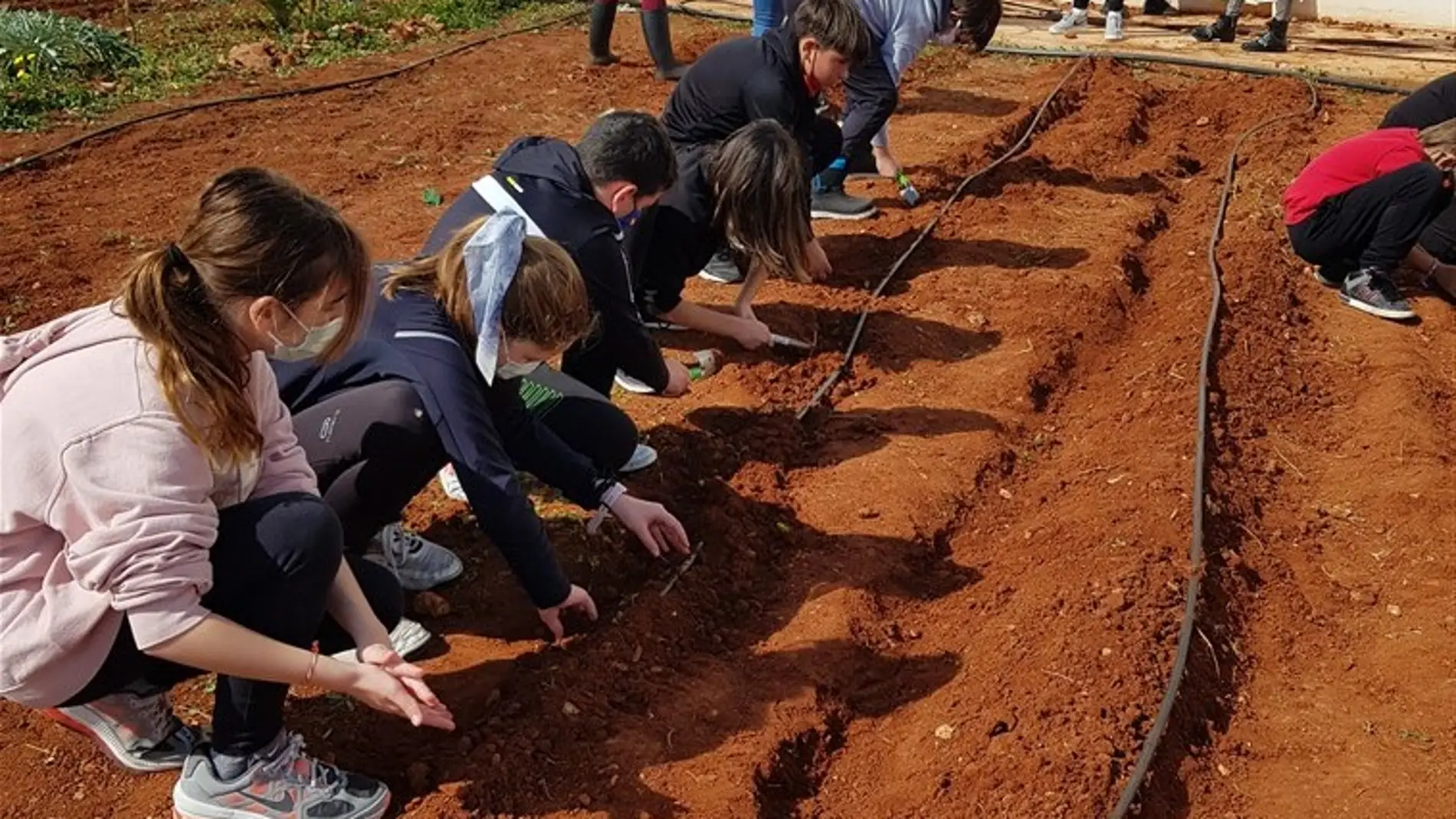 Almassora ha formado a 1.900 estudiantes en agricultura ecológica