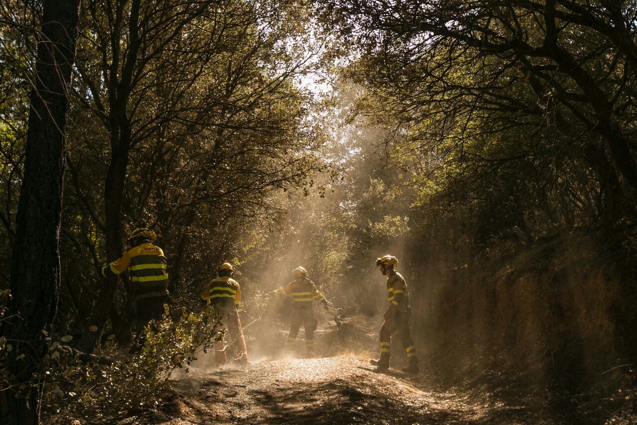 "Es momento de volver al pueblo, buscar la normalidad y evaluar daños" "Es momento de volver al pueblo, buscar la normalidad y evaluar daños"