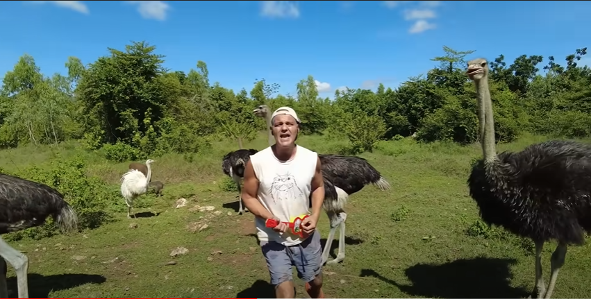 "Estás tan buena que eres como un sueño", la canción que Frank Cuesta le compone a Isabel Díaz Ayuso "Estás tan buena que eres como un sueño", la canción que Frank Cuesta le compone a Isabel Díaz Ayuso