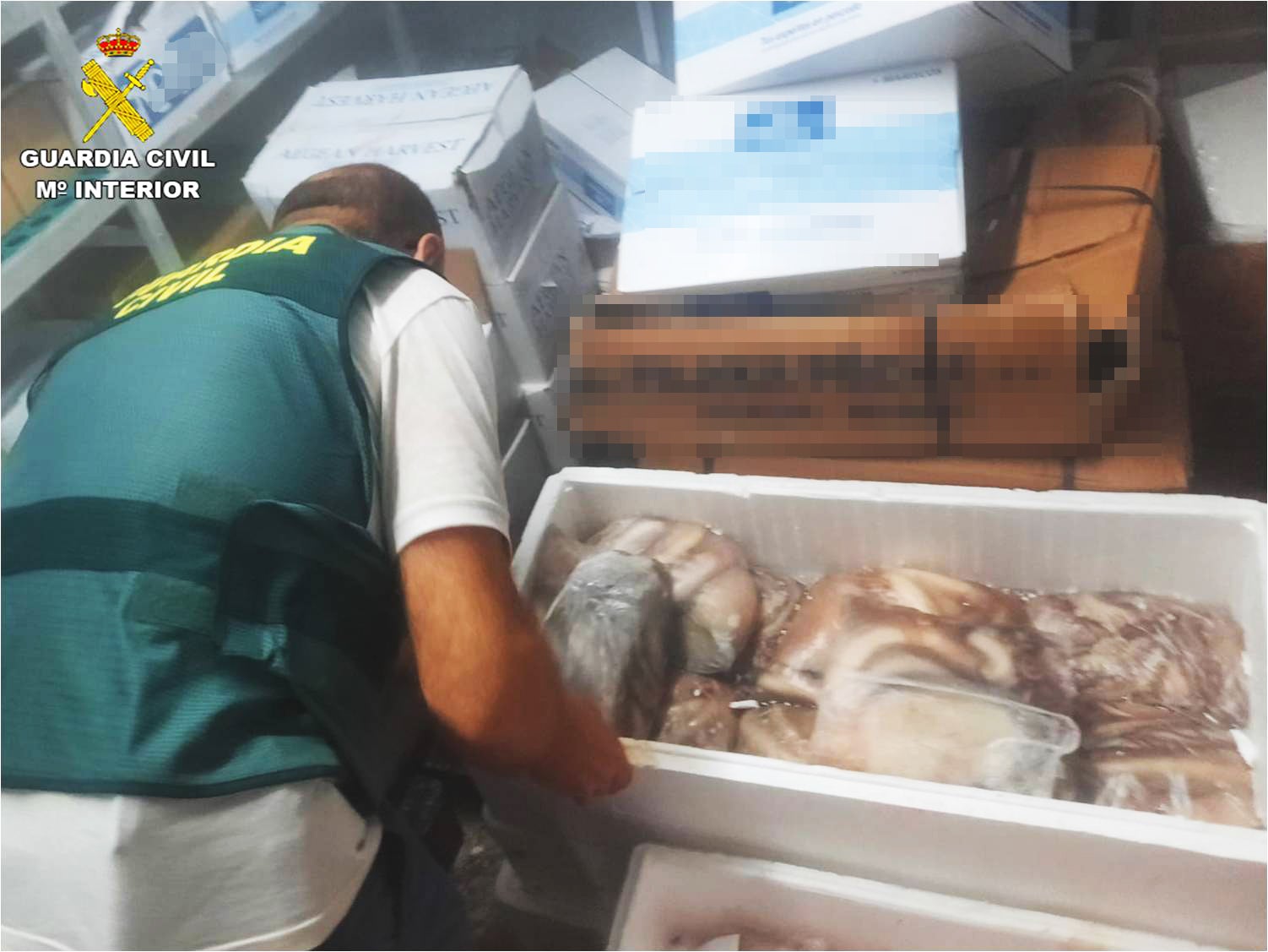 Dos restaurantes de Elche se enfrentan a sanciones de entre 601 y 30.000 euros por comercializar pescado ilegal Dos restaurantes de Elche se enfrentan a sanciones de entre 601 y 30.000 euros por comercializar pescado ilegal