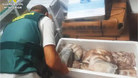 Agente de la Guardia Civil de Alicante en plena inspección del pescado ilegal en diferentes establecimientos de la provincia de Alicante