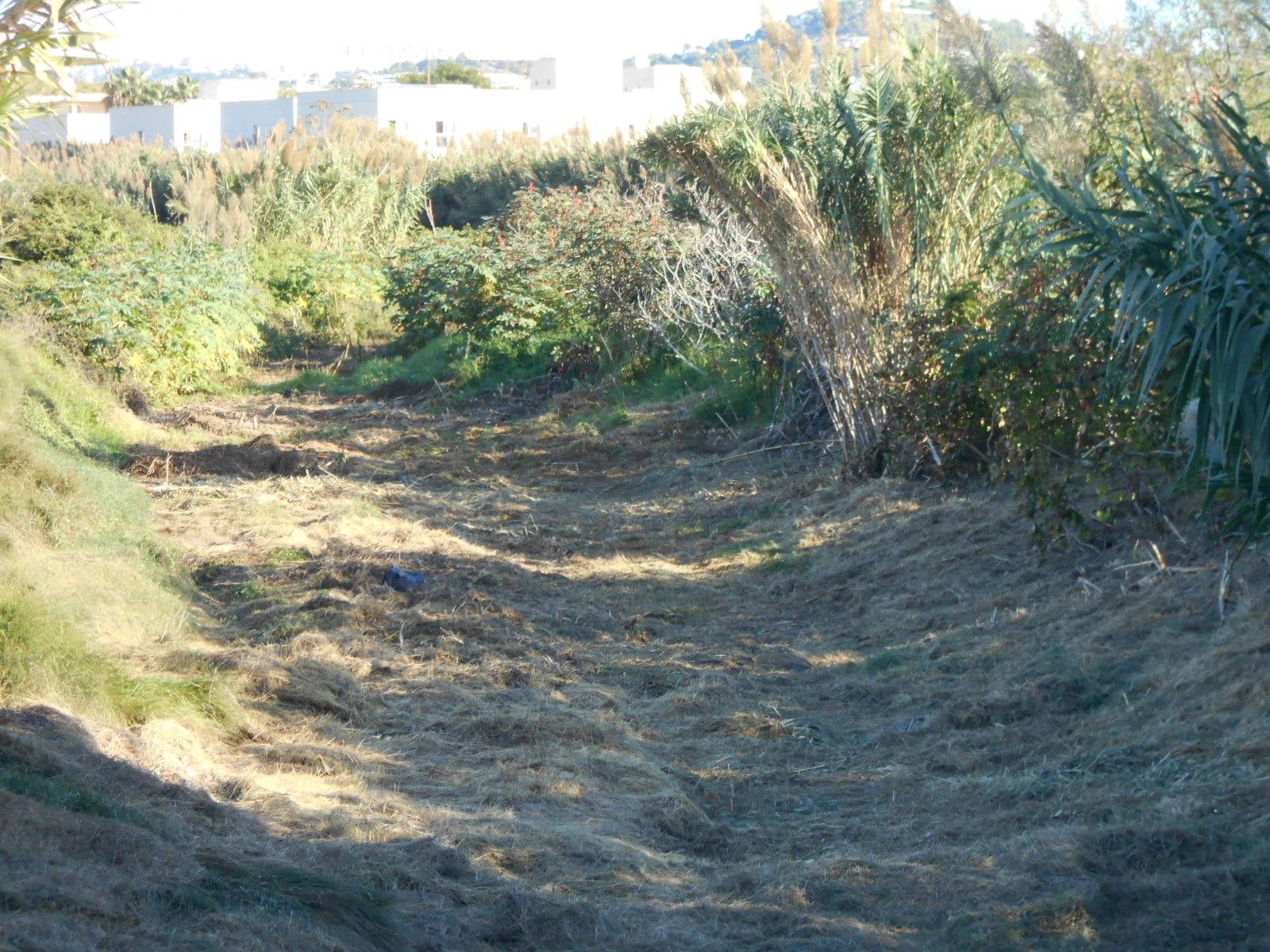 El Ayuntamiento de Calpe reclama a la Confederación Hidrográfica del Júcar que limpie los cauces y barrancos El Ayuntamiento de Calpe reclama a la Confederación Hidrográfica del Júcar que limpie los cauces y barrancos