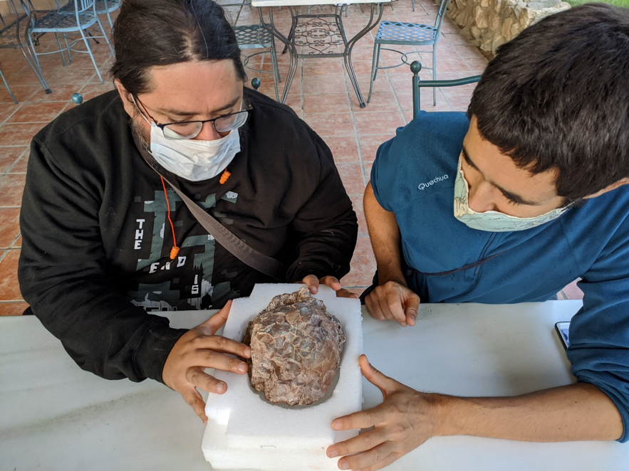 Loarre muestra huevos de dinosaurino en el Laboratorio Paleontológico Loarre muestra huevos de dinosaurino en el Laboratorio Paleontológico