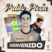 picon picon