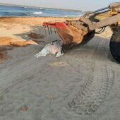 Retiran una vaca muerta de una playa de Formentera