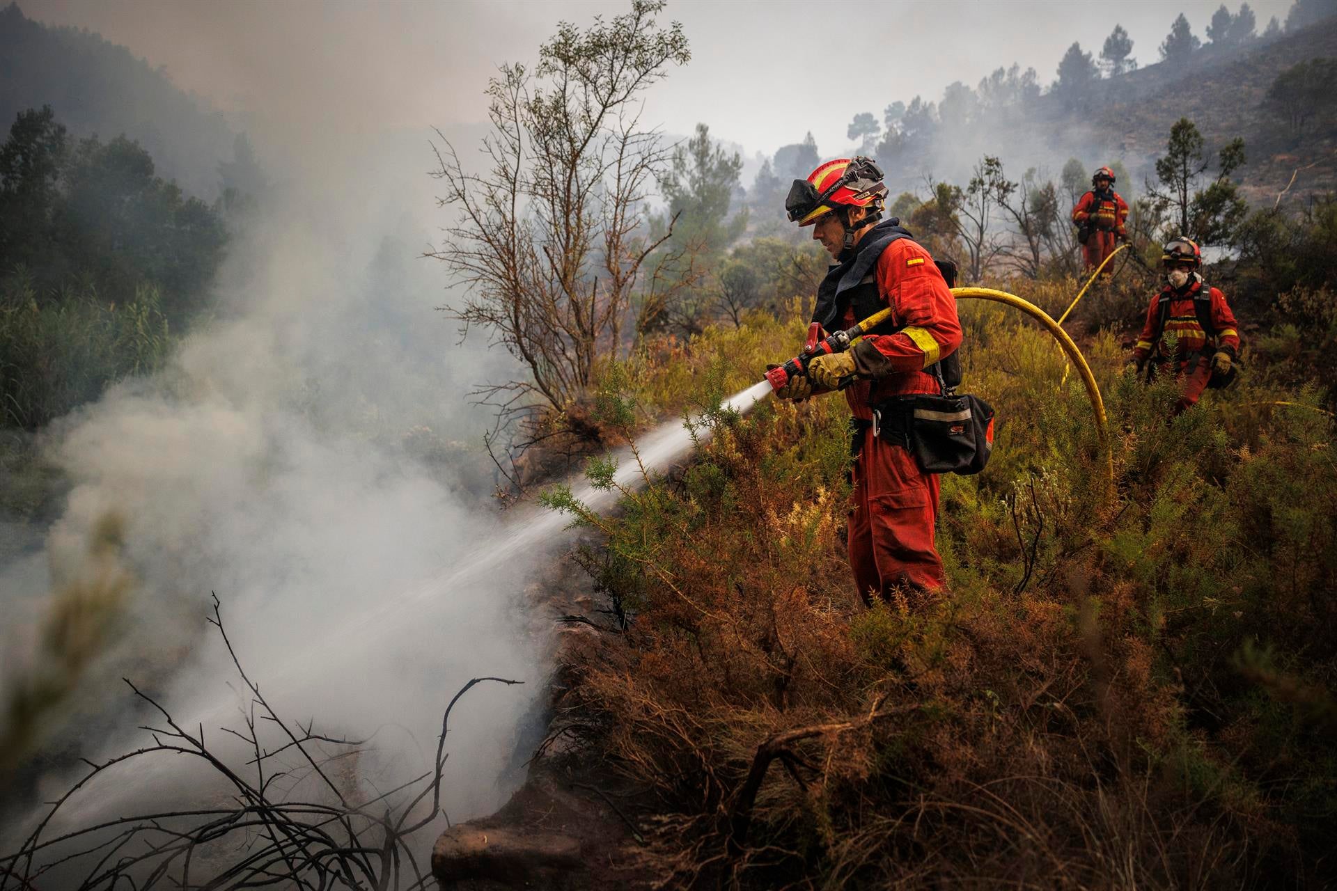 Los bomberos se centran en la extinción de los rebrotes en Bejís provocados por el fuerte viento Los bomberos se centran en la extinción de los rebrotes en Bejís provocados por el fuerte viento