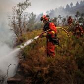 Los bomberos se centran en la extinción de los rebrotes en Bejís provocados por el fuerte viento