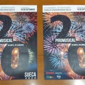 Cartel Piromusical Sueca
