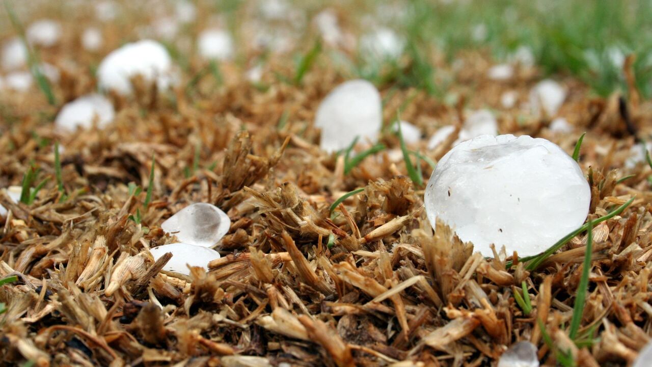 Cómo se forma el granizo Girona registra las piedras más grandes desde