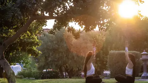 Parque El Campet de Petrer Parque El Campet de Petrer