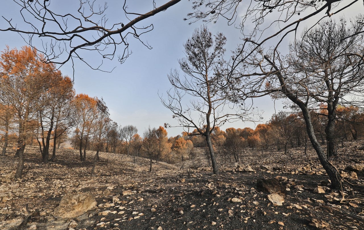 El área de Medio Ambiente de la Diputación impulsa la recuperación urgente de la Vall d'Ebo El área de Medio Ambiente de la Diputación impulsa la recuperación urgente de la Vall d'Ebo