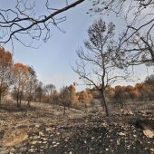 Incendio de la Vall d'Ebo en Alicante 