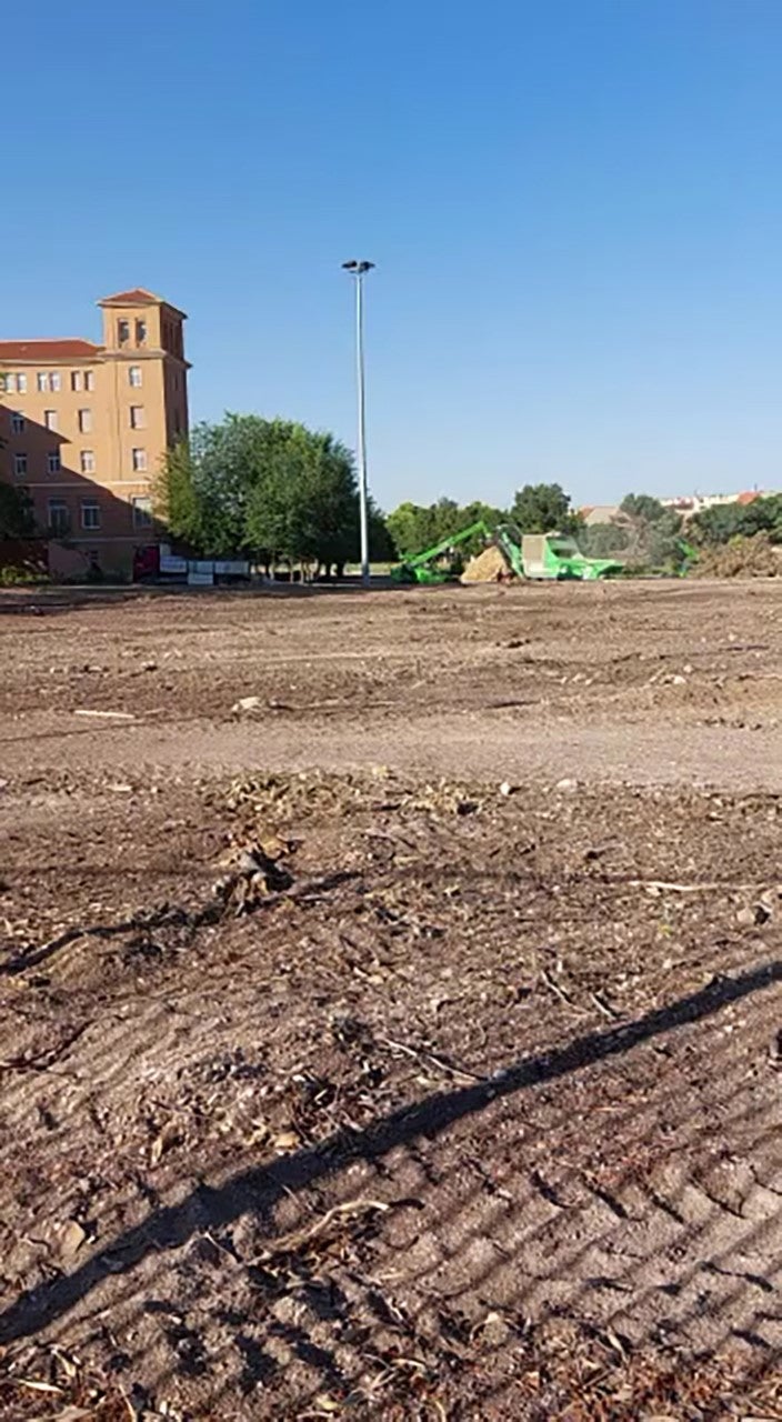 Ecologistas piden al ayuntamiento de Ciudad Real información sobre la tala de más de 50 árboles en el Seminario Diocesano Ecologistas piden al ayuntamiento de Ciudad Real información sobre la tala de más de 50 árboles en el Seminario Diocesano