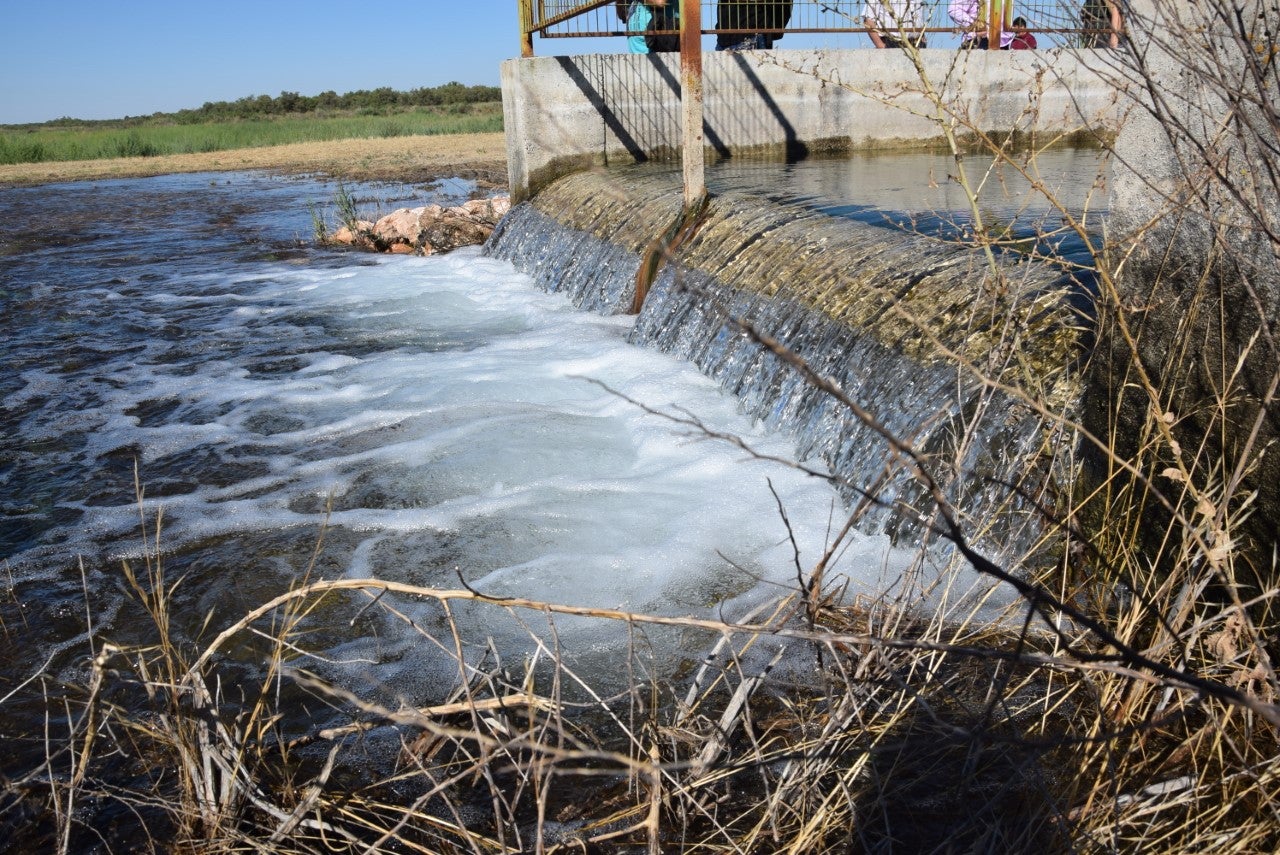 El alcalde de Daimiel pide al Gobierno un plan integral para la conservación de las Tablas El alcalde de Daimiel pide al Gobierno un plan integral para la conservación de las Tablas