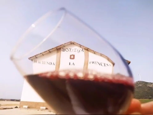 La pandemia dejó excedentes de stock en Bodegas Hacienda La Princesa, que está vendiendo uva La pandemia dejó excedentes de stock en Bodegas Hacienda La Princesa, que está vendiendo uva