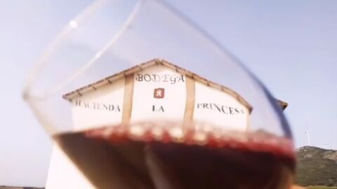 Bodegas Hacienda La Princesa