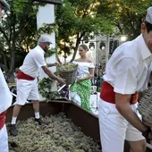 Instantes de la pisa de la uva de Jerez Instantes de la pisa de la uva de Jerez