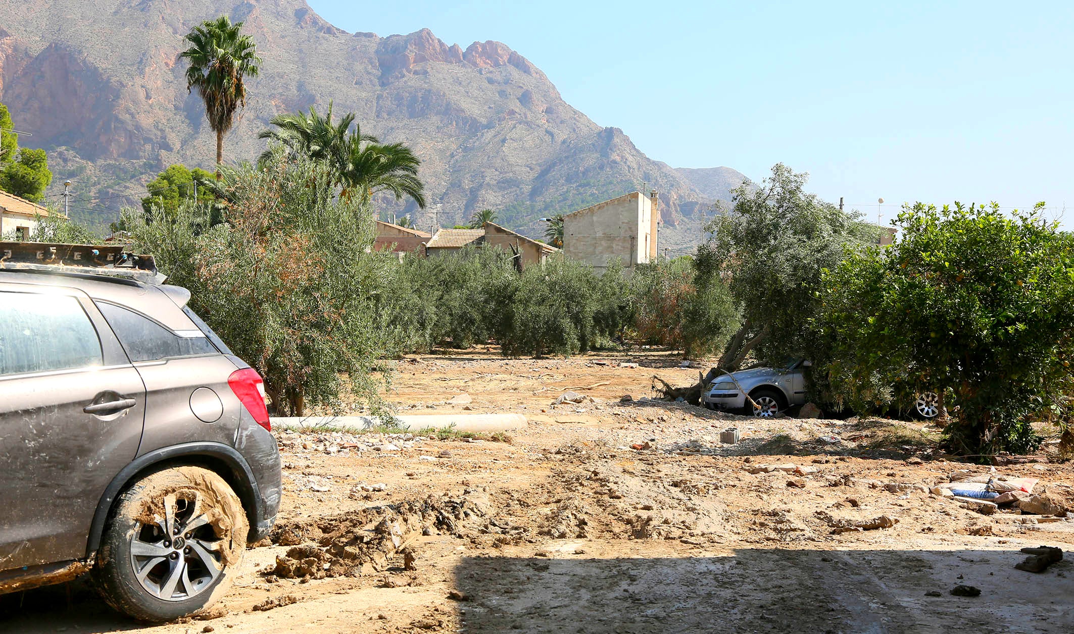 La Diputación invierte 900.000 euros en la mejora y reparación de caminos de más de 80 municipios La Diputación invierte 900.000 euros en la mejora y reparación de caminos de más de 80 municipios