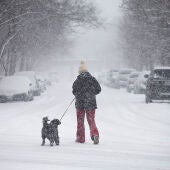 Imagen de archivo de una mujer paseando con su perro bajo una tormenta de nieve