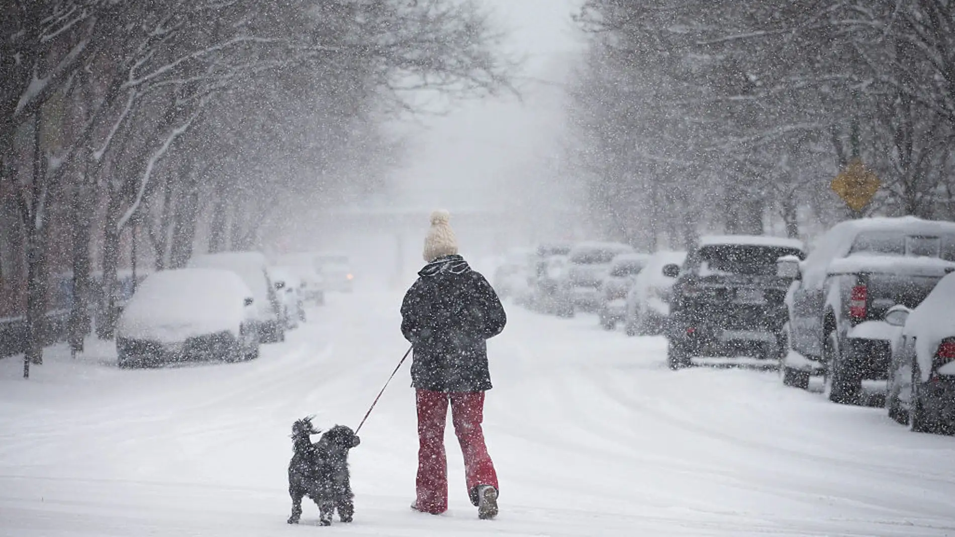 Imagen de archivo de una mujer paseando con su perro bajo una tormenta de nieve