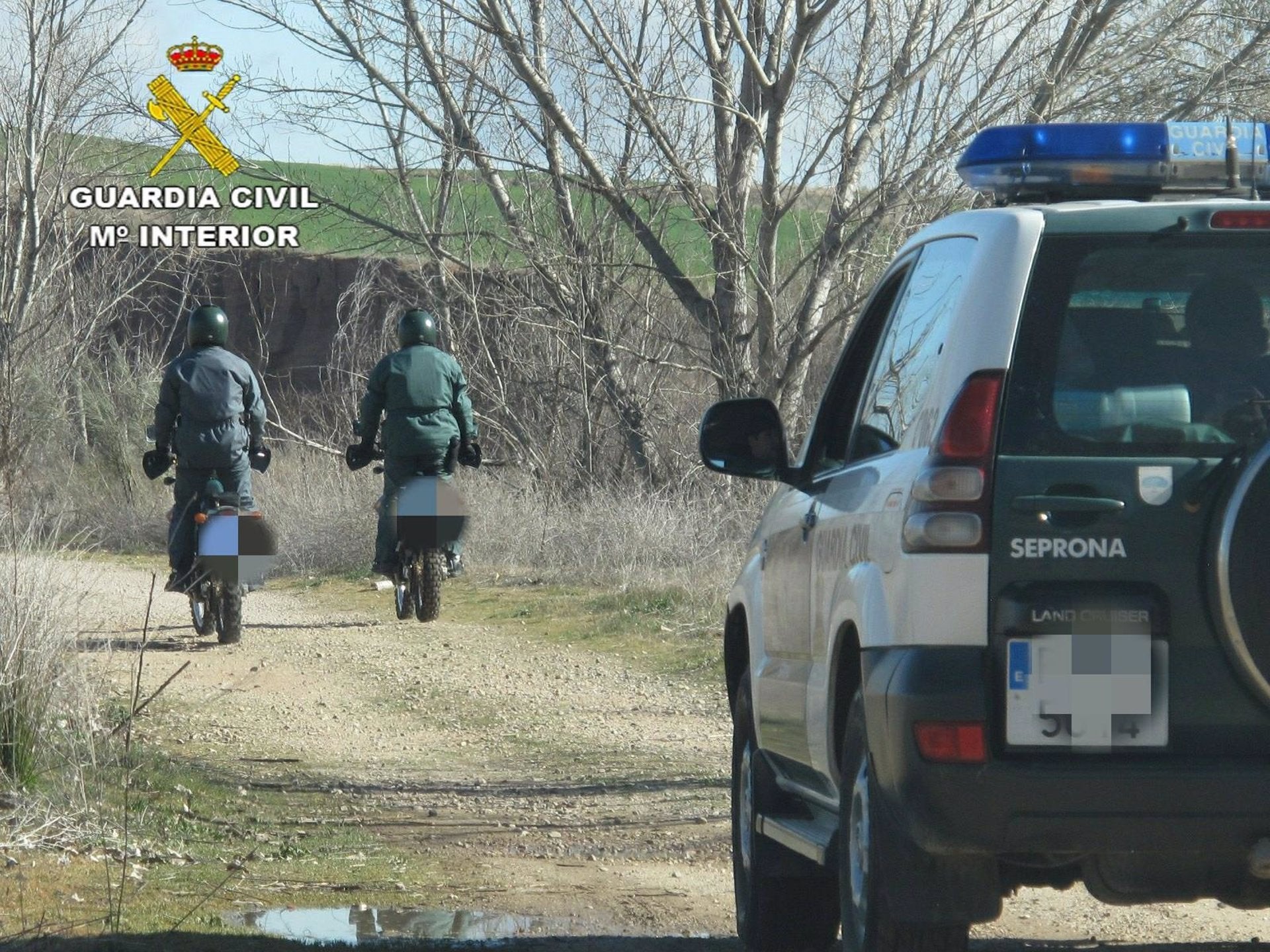 Investigado en Salobreña por abandono animal tras arrojar a su perro herido a un cañaveral Investigado en Salobreña por abandono animal tras arrojar a su perro herido a un cañaveral