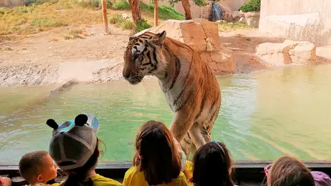 Actividades formativas para escolares en Terra Natura. Actividades formativas para escolares en Terra Natura.