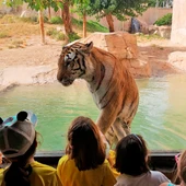 Actividades formativas para escolares en Terra Natura. Actividades formativas para escolares en Terra Natura.