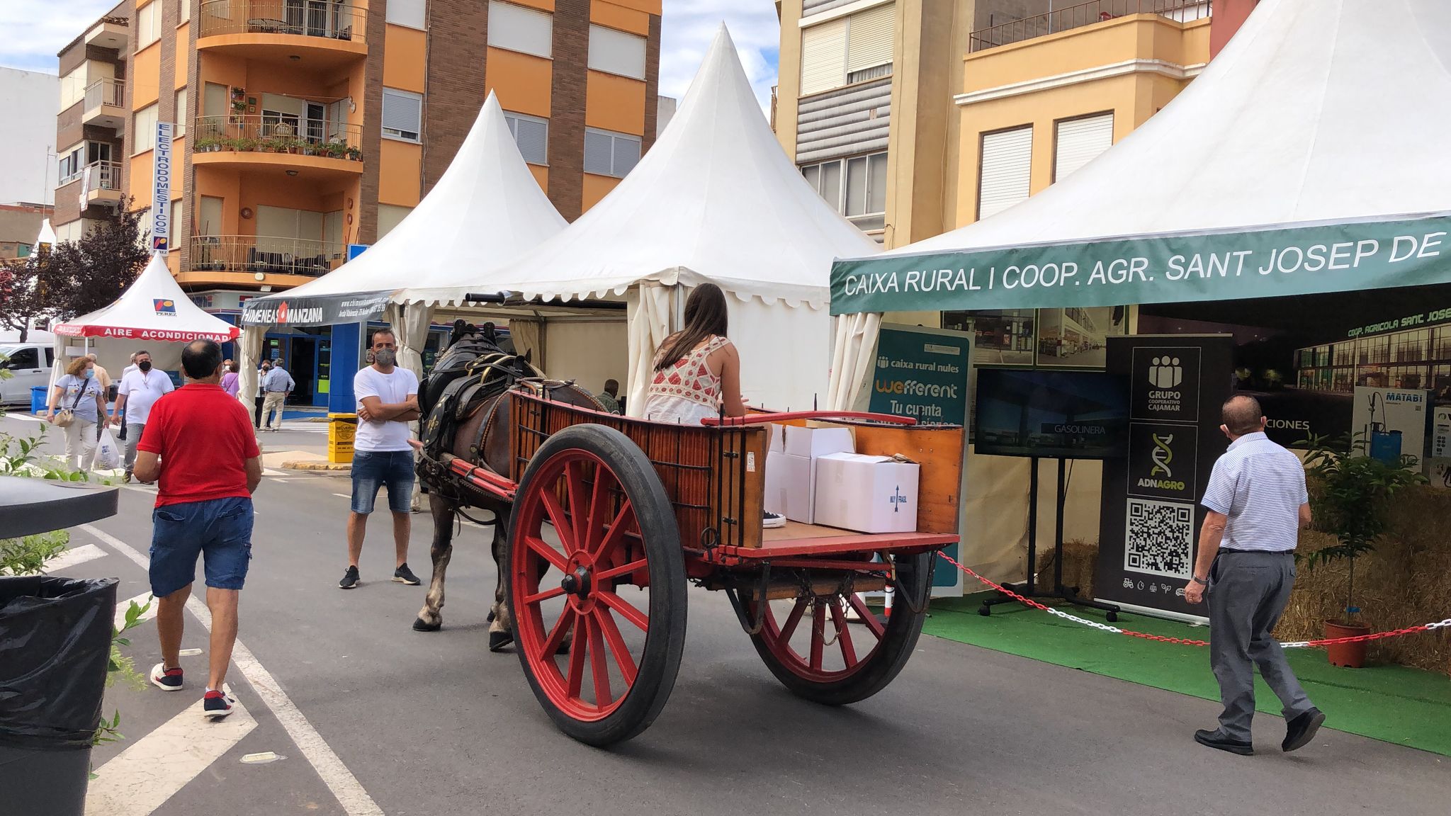 La feria agrícola de Nules presenta novedades en su LXXVII edición La feria agrícola de Nules presenta novedades en su LXXVII edición