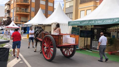 Imagen de archivo de la Feria Agr&iacute;cola de Nules.