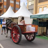 Imagen de archivo de la Feria Agrícola de Nules. Imagen de archivo de la Feria Agrícola de Nules.