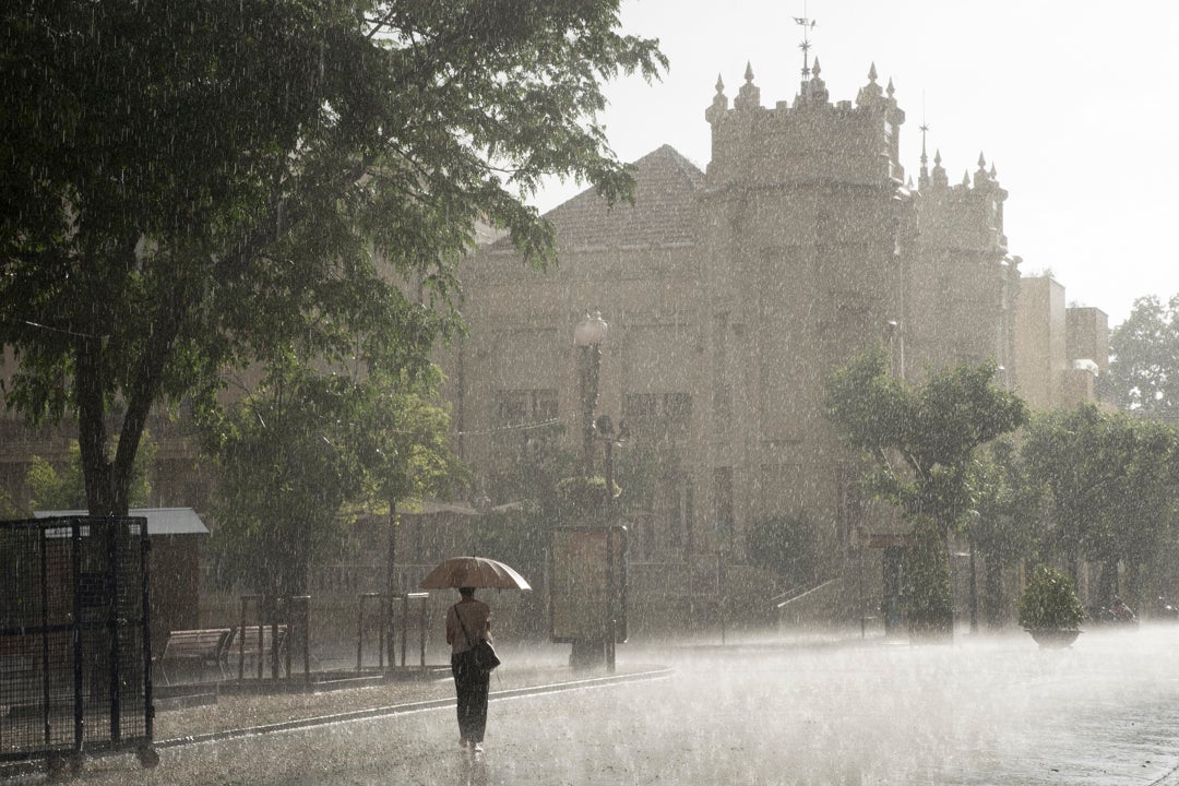Las lluvias llegan a España: qué provincias están en alerta estos días Las lluvias llegan a España: qué provincias están en alerta estos días