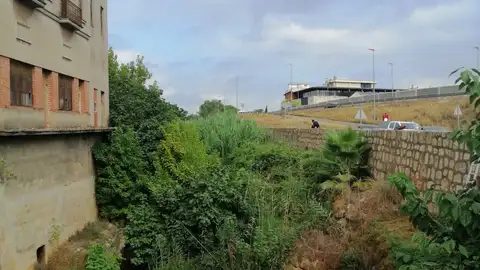 Barranco Casella Alzira Barranco Casella Alzira