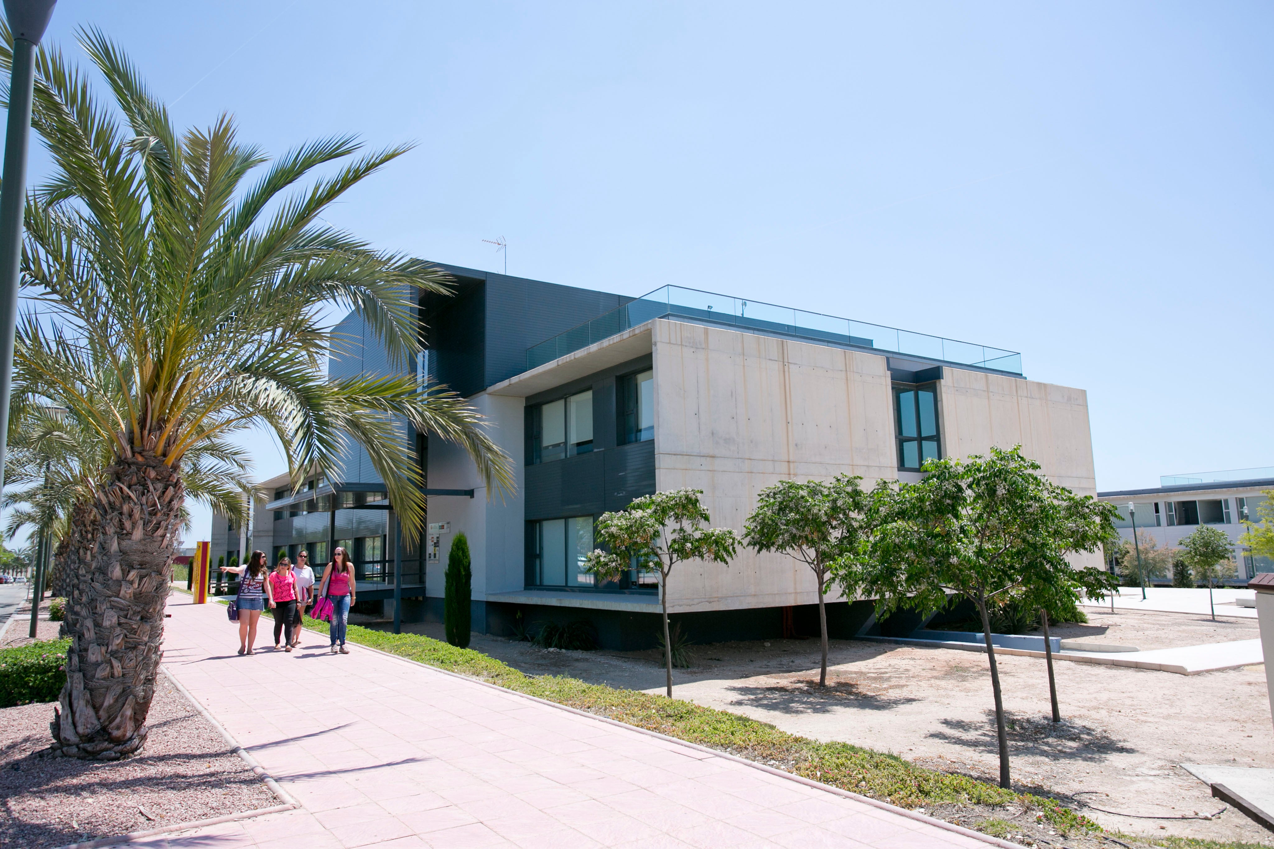 La UMH lanza su oferta de idiomas para el curso 2022/2023 incluyendo inglés de negocios La UMH lanza su oferta de idiomas para el curso 2022/2023 incluyendo inglés de negocios